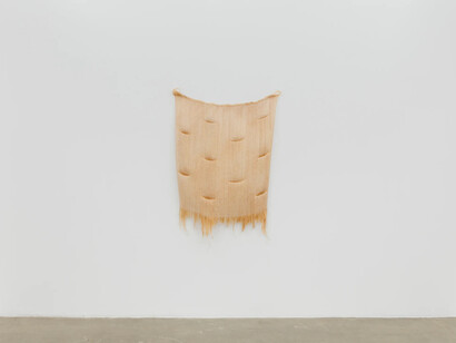 Molly Haynes, Liquescent, exhibition view. Courtesy of Ochi Projects