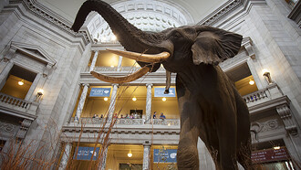 Smithsonian Museum, Washington DC