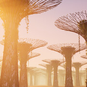 Alice Bucknell, Staring at the sun (standbild), 2024—2025. Mit freundlicher genehmigung des Mudac