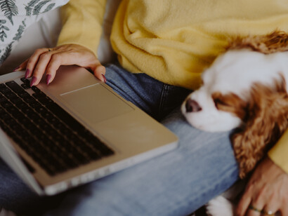 The human–dog bond combines evolution, biology, and emotional simplicity into a relationship that feels deeply natural