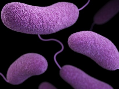 Modelo 3D de bacterias Gram-negativas pertenecientes al género Vibrio