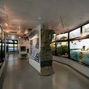 Estonian Natural History Museum