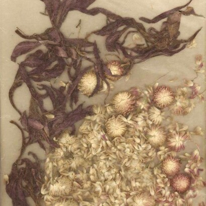 INTER/Fases, Dinorah Carballo en el Museo Rafael Ángel Calderón Guardia