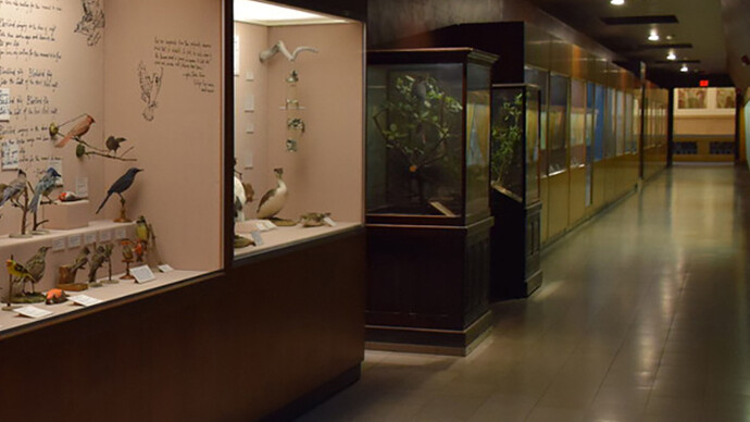 Bird Hall. Courtesy of Carnegie Museum of Natural History
