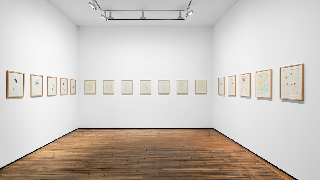 Vue d'exposition, Daniel Dezeuze, Mesoamerica © Adrien Millot. Courtesy of Templon Paris