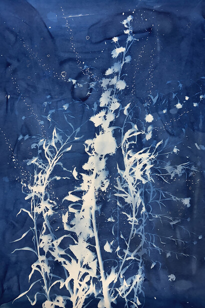 Christine Nguyen, Stars, Constellations, Sunflowers 2023-1, 2023. 
Silver leaf, salt crystals and cyanotype on cotton paper,
71 x 50 in. (180.3 x 127 cm). Courtesy of the artist and David B. Smith Gallery