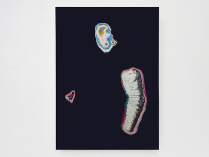 bn+BRINANOVARA, Unpredictable Ecosystem 17, 2020, oil paint, sanded enamels, mdf board, wood, transparent varnish, 118x85,5x6 cm, courtesy the artists
