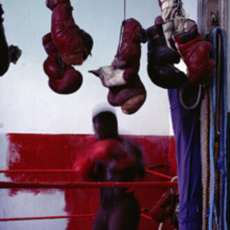 Miguel Rio Branco. Courtesy of Christopher Grimes Gallery