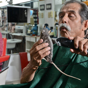 John Bock. Courtesy of The Contemporary Austin