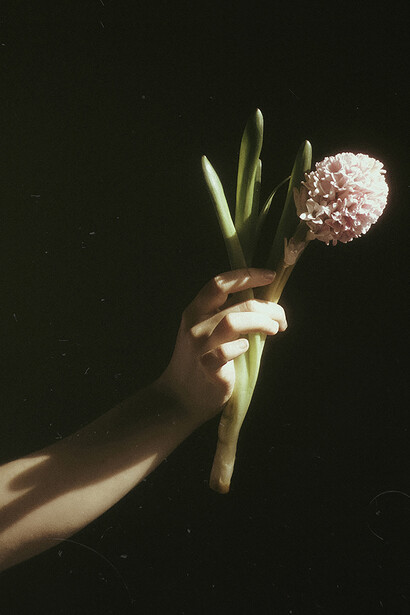 Camilla Di Bella Vecchi, Giacinto, 2023. Cortesia della Galleria Leòn