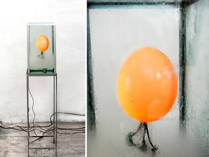 Donato Piccolo, Ostrich's Sound, 2010, vetro, pyrex, uovo di struzzo, acqua, nebulizzatore, alluminio, speaker, microfono, amplificatore