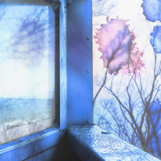Nevil Dwek, Stillness (detail), 2026. Courtesy of Winston Wächter Fine Art