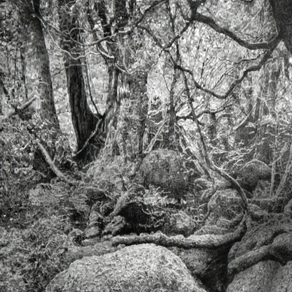 Hugo Bastidas. Courtesy of Nohra Haime Gallery