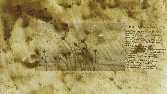 Grandi pagine, di Mariella Busi De Logu