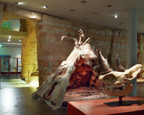 Archaeology. Courtesy of MNHA