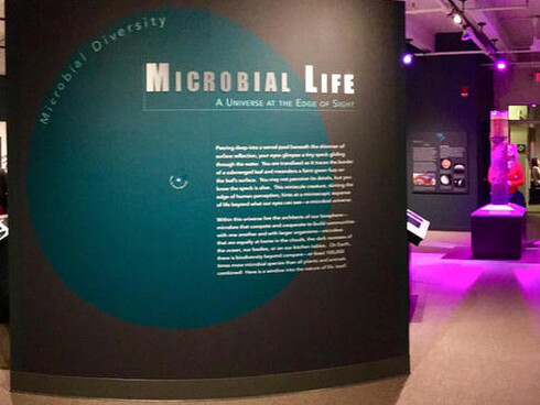 Microbial Life: A Universe at the Edge of Sight. Courtesy of Harvard Museum of Natural History