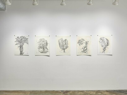 Garden Drawings, Exhibition View, 2023. Courtesy of A.I.R Gallery