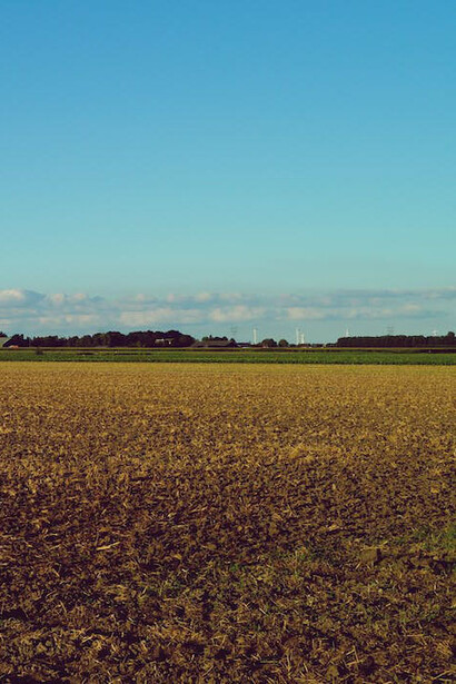 Campagna. C’è un legame forte tra loro, quel legame che si forma tra chi è andato altrove a cercare un po’ di tranquillità e benessere. Con speranza e tenace carità. Oltre che umiltà e pazienza. L’altrove qui è la pianura padana, una terra che abbraccia e non rifiuta. Né si rifiuta