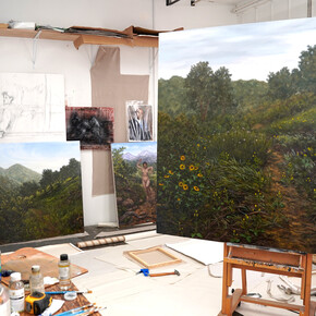 Andrew Durgin-Barnes, Lizardscapes, exhibition view. Courtesy of Good Mother Gallery