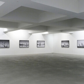 Luís Campos, Endscape, exhibition view. Courtesy of Carlos Carvalho