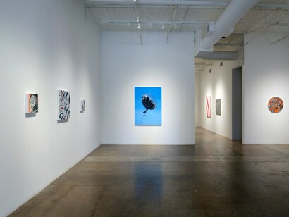 Shannon Cannings, Distortions, exhibition view. Courtesy of Cris Worley Fine Arts
