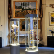 Our treasures and unique artefacts. Courtesy of Museum and Library of Hungarian Agriculture