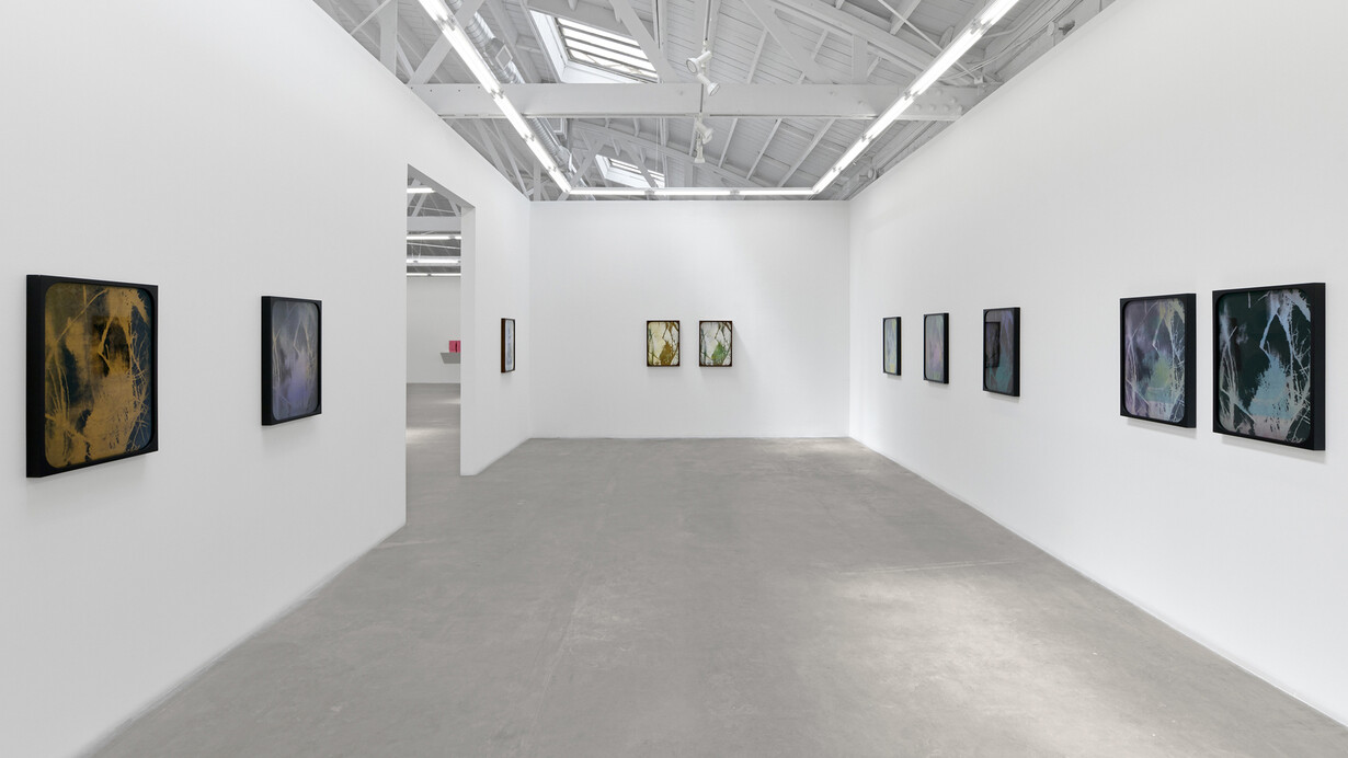 Sherin Guirguis, Into the lake of fire  // ⲉ̀ϧⲟⲩⲛ ⲉ̀ϯⲗⲩⲙⲛⲏ ⲛ̀ⲭ̀ⲣⲱⲙ, exhibition view. Courtesy of Luis De Jesus Los Angeles 
