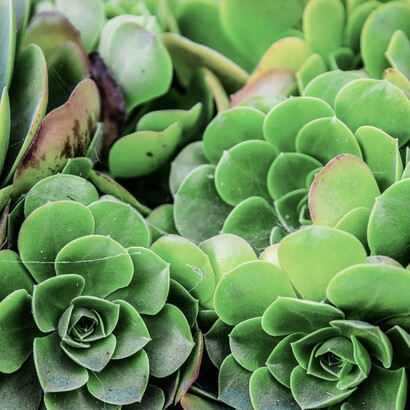 La résilience est un processus de reconstruction 