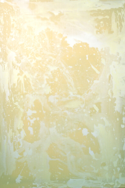 Alex Gough, Wilderness in Paint No.13, 78 x 110 cm, Pigment, acrylic binder, gesso, polythene and polyester, 2012 
