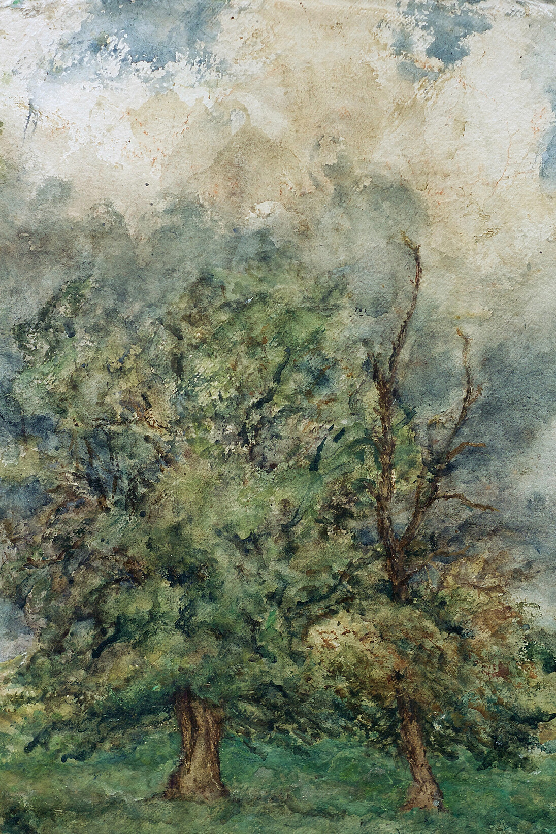 Daniel Chatto, Storm Caught in Branches