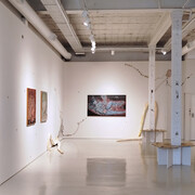 Marina Daiez, Ontogenia plantihumana, vista de exhibición. Cortesía de la Galería Nora Fisch