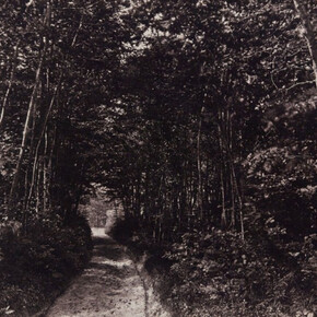Eugène Cuvelier

Sendero en el bosque, 1850-1860

Papel a la sal. 25,2 x 33,6 cm
Bibliothèque Nationale de France, París
© Bibliothèque Nationale de France