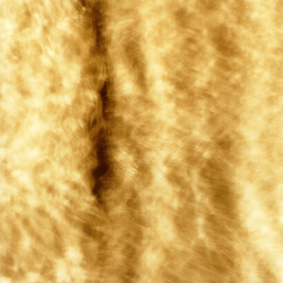 Lydia Goldblatt, Air's Filigree, 2010-2013, Chromogenic print, 20 x 20 inches, edition of 6
