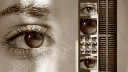 A view of the eyes in several different forms, to show perception of things