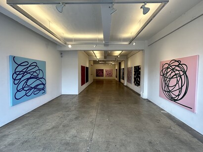 Installation view, Luci Soni, Knot Theory, 2023. Courtesy of Voltz Clarke Gallery