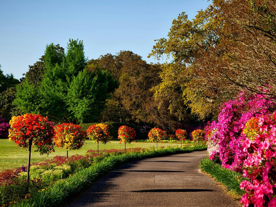 A garden can be a place, a state of mind, or a symbol for growth, peace, abundance, creativity, or spiritual life