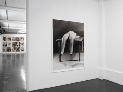 Eggs and rarities. Courtesy of Otto Zoo