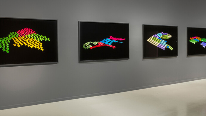 Hadar Saifan. Courtesy of The Herzliya Museum of Contemporary Art