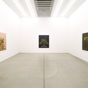 Erin Wright, Nearly natural, exhibition view. Courtesy of Maki Gallery