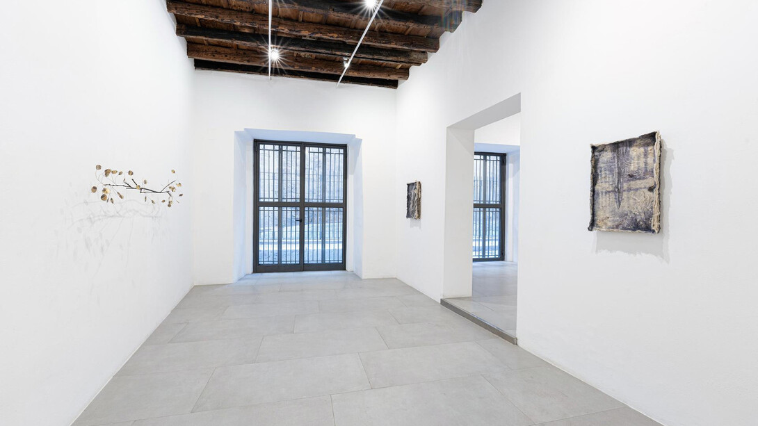 Francesca Polizzi, Lunaria, vista della mostra. Cortesia della Galleria Rizzuto