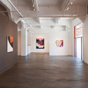 Various artists, The shape of looking, exhibition view. Courtesy of Haines Gallery 