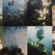 Peter Hutchinson, Undersea onions (detail), 1970. Courtesy of Gaa Gallery