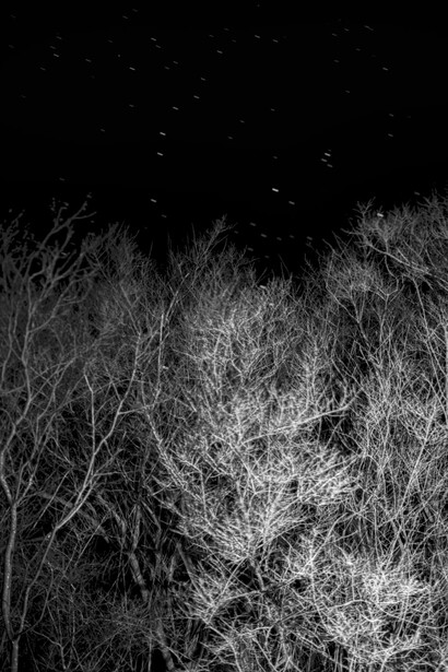 Maya Tihtiyas Attean, That good night (detail), 2025. Courtesy of Kenise Barnes Fine Art