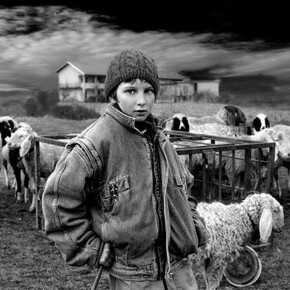 Lella Beretta, Gregge, Photographic Print on Canvas, 28" x 40"