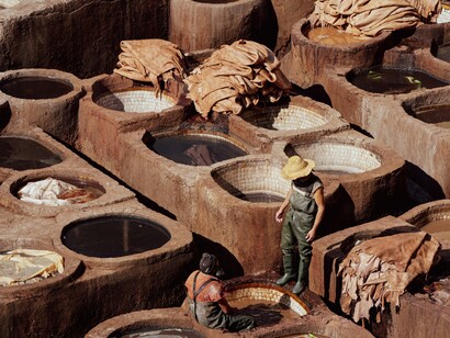 La crescente domanda di cuoio ha sollevato preoccupazioni etiche e ambientali, spingendo molte aziende a cercare alternative sostenibili, come il cuoio vegetale, per ridurre l’impatto dell'industria conciaria sul pianeta
