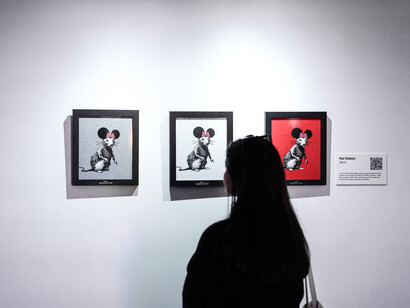 The art of Banksy: without limits. Courtesy of Fever