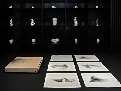 Surfaces & Insides. Courtesy of Sage Culture