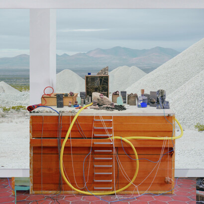 Mary Mattingly. Courtesy of Robert Mann Gallery