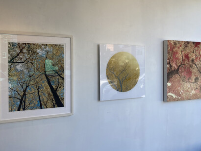 Various artists, Natural beauty, exhibition view. Courtesy of Elisa Contemporary Art