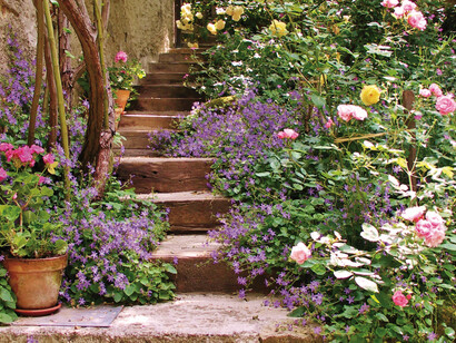 Ogni stagione garantisce emozioni: qui sono raccolte ben 200 varietà di rose; oltre alle antiche ci sono numerose varietà inglesi e moderne che fioriscono anche in estate e in autunno. Foto di Enzo Valenti